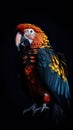 Silhouette Parrot on Dark Background. Generative AI