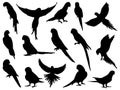 Set of Parrots Silhouette vector art Royalty Free Stock Photo