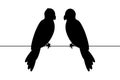 Silhouette parrots sit on a wire. Silhouette of birds on a wire. Isolated illustration on a white background. Vector.