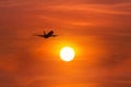 Silhouette passenger airplane flying away in to sky high altitude above the sun during sunset time Royalty Free Stock Photo