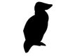 Silhouette of penguin logo on a white background. Symbol of animal Royalty Free Stock Photo