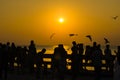 Silhouette people and bird fly in sky seascape natural sunset