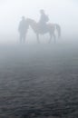 Silhouette of people and horses in fog or mist Royalty Free Stock Photo