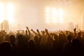 Silhouette of people with raised hands on concer. Crowd on music show Royalty Free Stock Photo