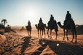 Silhouette people riding camels in desert native tuareg arabic african person Sahara wildlife tourist attraction Dubai Royalty Free Stock Photo