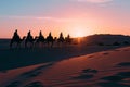 Silhouette people riding camels in desert native tuareg arabic african person Sahara wildlife tourist attraction Dubai Royalty Free Stock Photo