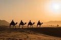 Silhouette people riding camels in desert native tuareg arabic african person Sahara wildlife tourist attraction Dubai Royalty Free Stock Photo