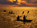 Silhouette of people rowing in kayaks