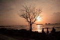 Silhouette of people sitting beneath a dead tree