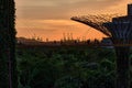 Silhouette of people standing on bridge in background of harbor in Singapore