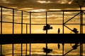 Silhouette of people at sunset exercising on the edge of beach