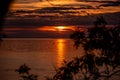 Silhouette of people on SUP boards on horizon of sea at orange sunrise. Active hobby on the water