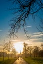 Silhouette of people walking towards sunset Royalty Free Stock Photo