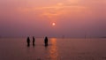 Silhouette of peoples at Bagan Lalang Beach during the sunset in the evening Royalty Free Stock Photo