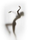 Silhouette of a perfect body sexy woman, who dances behind a curtain.