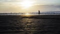 Silhouette of a person enjoying a picturesque sunset on the beach