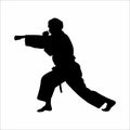 silhouette of a person practicing karate martial arts