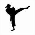 silhouette of a person practicing karate martial arts