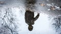 Silhouette of a Person Reflected in a Puddled Street Royalty Free Stock Photo