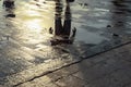 Silhouette of a person reflecting in a puddle after the rain. Royalty Free Stock Photo