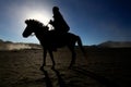 Silhouette of a person riding a horse in the evening under the beautiful blue sky Royalty Free Stock Photo