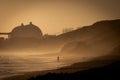 Silhouette of a person at San Onofre State beach at sunset with a dog and a nuclear power plant in the background