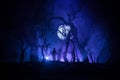 Silhouette of person standing in the dark forest. Horror halloween concept. strange silhouette in a dark spooky forest at night Royalty Free Stock Photo