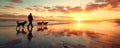 Silhouette of person walking dogs on beach at sunset vibrant sky reflected on wet sand. Tranquil scene captures peaceful Royalty Free Stock Photo