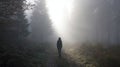 Silhouette Of A Person Walking Through A Misty Forest Path. Solitude And Tranquility In Nature Royalty Free Stock Photo