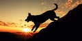 Silhouette Pet, Dog jumps on peak cliff with sunset background. Pet shop new year concept