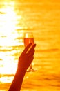 Silhouette Photo Of Female Hand Holding A Glass Of Champagne At