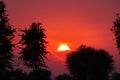 A silhouette photo in which the sun is hidden behind the red cloud at sunset Royalty Free Stock Photo