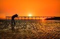 Silhouette of a photographer on beautiful sunset at pier Saltburn by the Sea, North Yorkshire UK Royalty Free Stock Photo