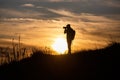 Silhouette of Photographer at sunset. Royalty Free Stock Photo