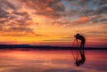 Silhouette Photographer take photo beautiful seascape at sunset in Thailand Royalty Free Stock Photo