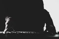 Silhouette of a pianist on a black and white background, the gloomy figure of a musician in the backlight Royalty Free Stock Photo