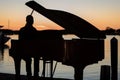 silhouette of a pianist at a grand piano dockside during twilight