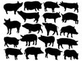 Set of Pig silhouette vector art on a white background Royalty Free Stock Photo