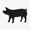 Silhouette of pig isolated on white background