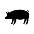 Silhouette of pig vector icon in flat style Royalty Free Stock Photo