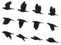 Silhouette Pigeons bird flying motion vector set Royalty Free Stock Photo