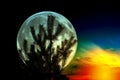 Silhouette of pine on the background of the full moon. Fantastic background