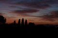 Silhouette of pine and cypress trees at dusk, blue hour, long exposure maremma tuscany italy.