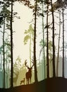 Silhouette of a pine forest with a family of deer