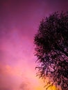 Silhouette pink sky background in time sunset