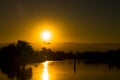 Silhouette of a Plane Landing Against Palms Royalty Free Stock Photo