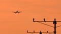 Silhouette of plane landing, runway lights, orange effect Royalty Free Stock Photo