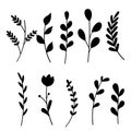 Silhouette Plants,leaves and Flower Hand Drawn Doodle Set Botanical Element.Vector Illustration Royalty Free Stock Photo