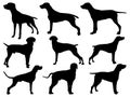 Set of Pointer Dog Silhouette vector art Royalty Free Stock Photo