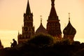 Silhouette of policeman in Zaryadye near Kremlin, Moscow, Russia